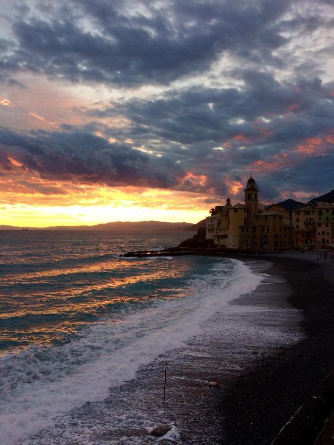 Ferienwohnung Sguardo Sul Porto Camogli Exterior foto